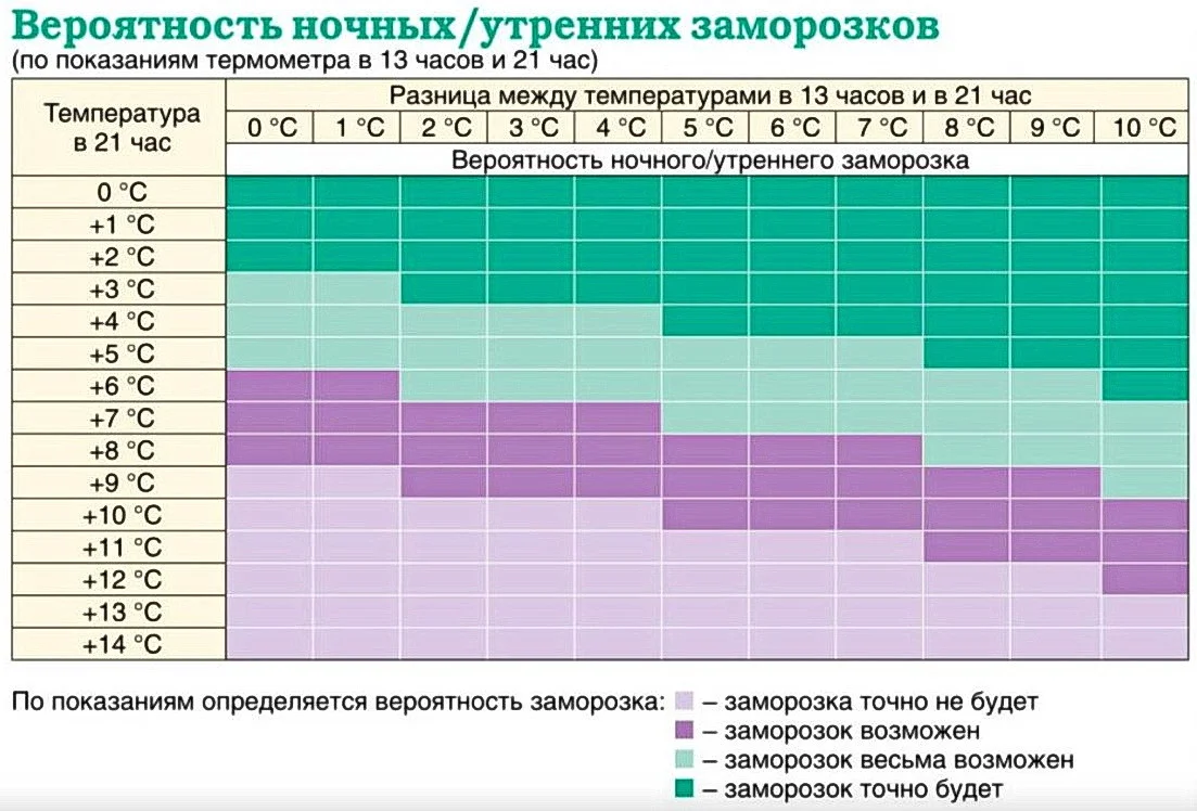 2.webp