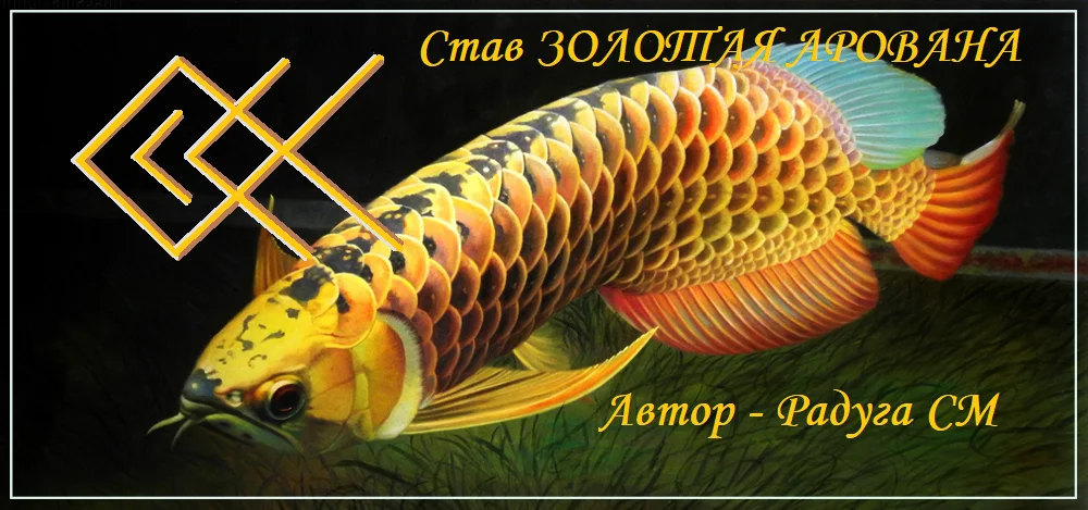 arowana-fish-feng-shui---kopiya.webp